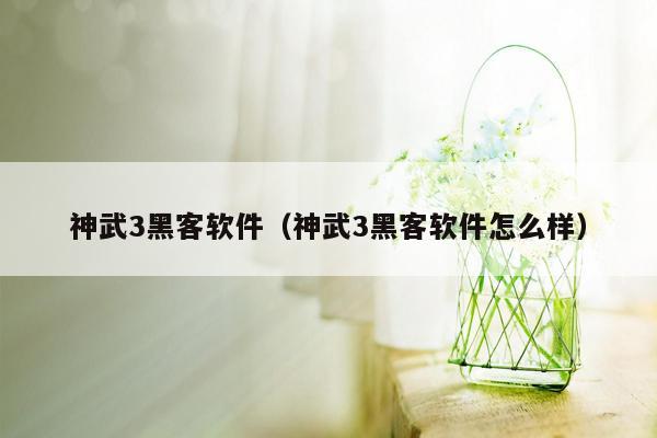 神武3黑客软件（神武3黑客软件怎么样）