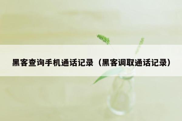 黑客查询手机通话记录（黑客调取通话记录）