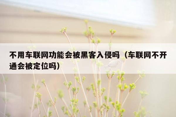 不用车联网功能会被黑客入侵吗（车联网不开通会被定位吗）