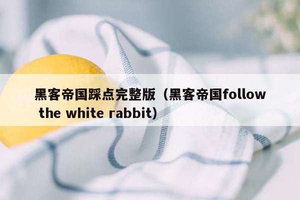 黑客帝国踩点完整版（黑客帝国follow the white rabbit）