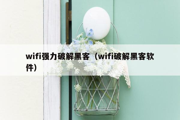 wifi强力破解黑客（wifi破解黑客软件）