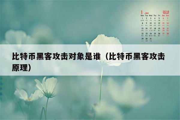 比特币黑客攻击对象是谁（比特币黑客攻击 原理）