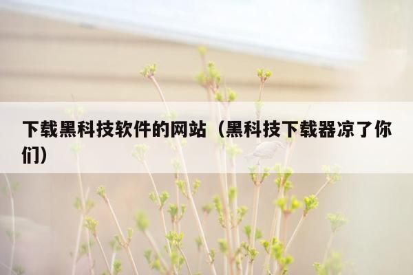 下载黑科技软件的网站（黑科技下载器凉了你们）