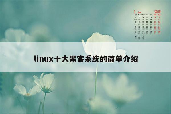 linux十大黑客系统的简单介绍