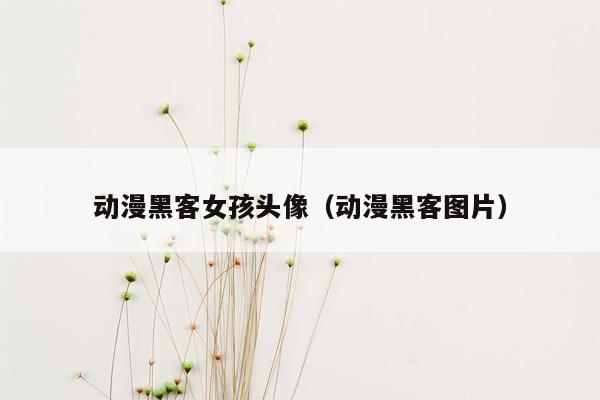 动漫黑客女孩头像（动漫黑客图片）