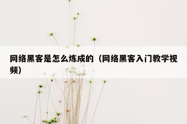 网络黑客是怎么炼成的（网络黑客入门教学视频）