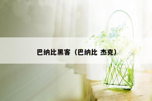 巴纳比黑客（巴纳比 杰克）