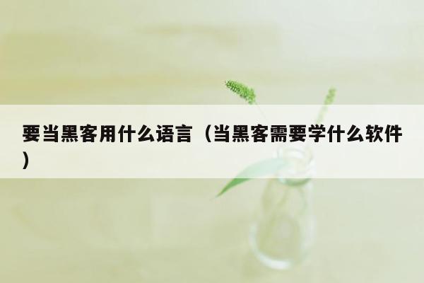 要当黑客用什么语言（当黑客需要学什么软件）