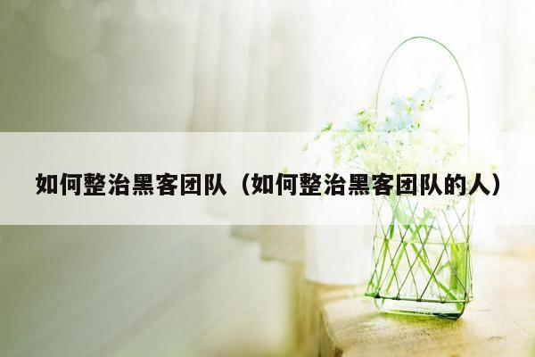 如何整治黑客团队（如何整治黑客团队的人）