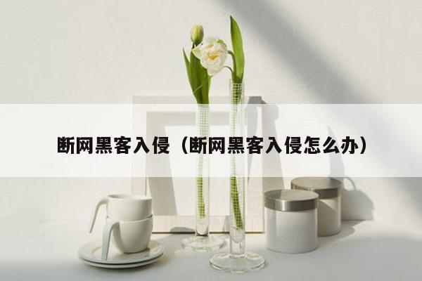 断网黑客入侵（断网黑客入侵怎么办）