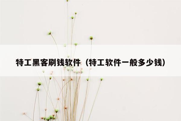 特工黑客刷钱软件（特工软件一般多少钱）