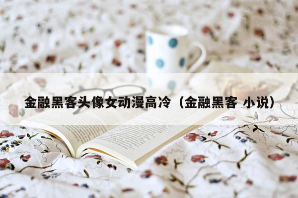 金融黑客头像女动漫高冷（金融黑客 小说）