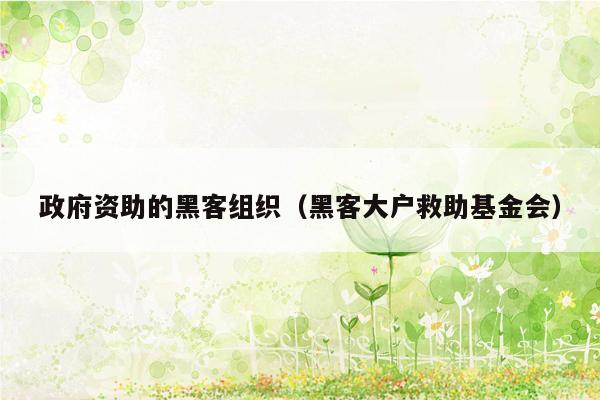 政府资助的黑客组织（黑客大户救助基金会）