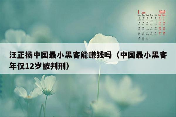 汪正扬中国最小黑客能赚钱吗（中国最小黑客年仅12岁被判刑）