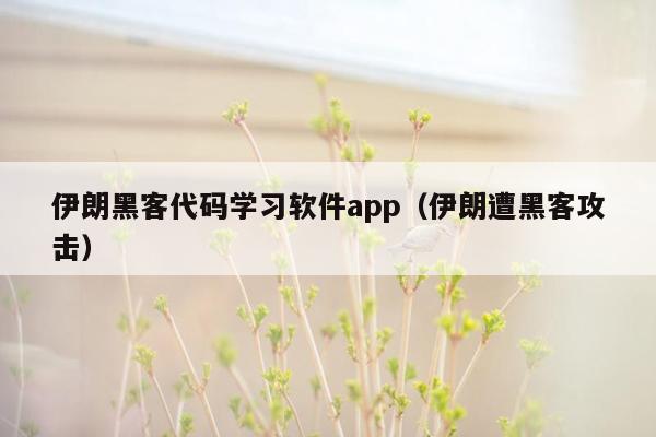 伊朗黑客代码学习软件app（伊朗遭黑客攻击）