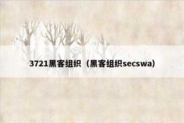 3721黑客组织（黑客组织secswa）