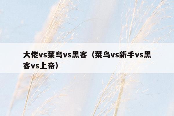 大佬vs菜鸟vs黑客（菜鸟vs新手vs黑客vs上帝）