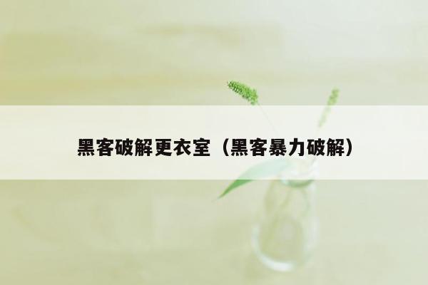 黑客破解更衣室（黑客暴力破解）