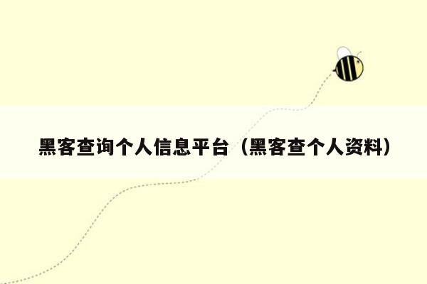 黑客查询个人信息平台（黑客查个人资料）