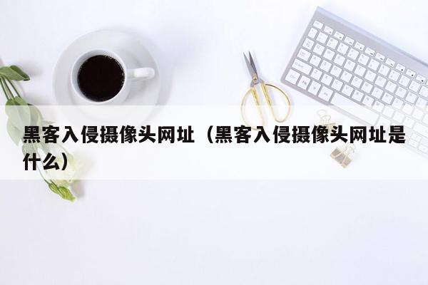 黑客入侵摄像头网址（黑客入侵摄像头网址是什么）