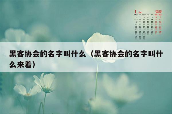 黑客协会的名字叫什么（黑客协会的名字叫什么来着）