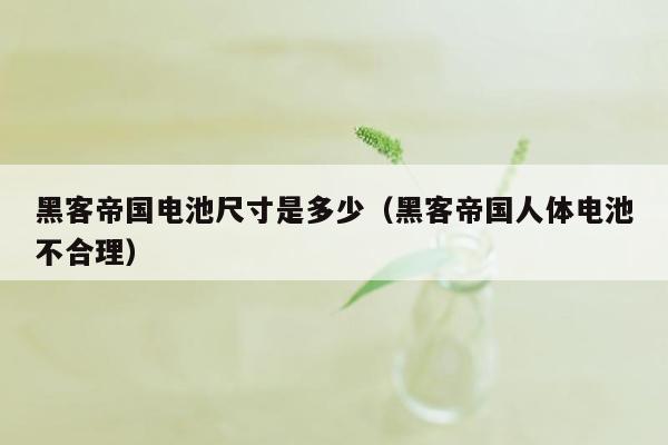 黑客帝国电池尺寸是多少（黑客帝国人体电池不合理）