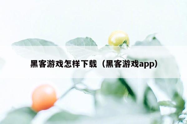 黑客游戏怎样下载（黑客游戏app）