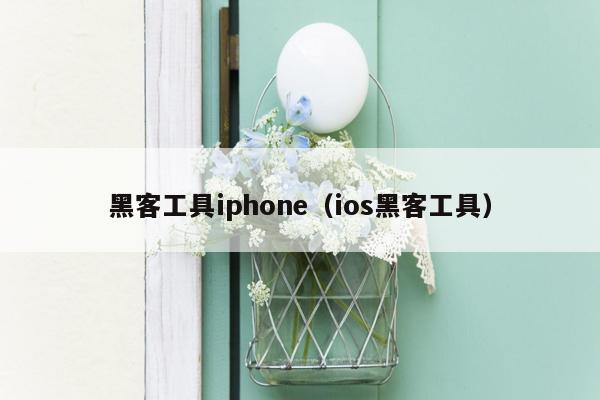 黑客工具iphone（ios黑客工具）