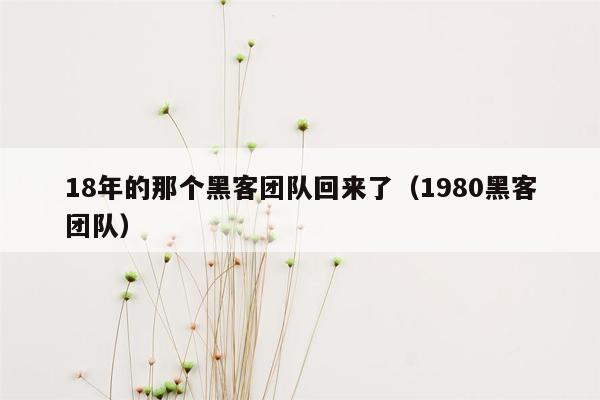 18年的那个黑客团队回来了（1980黑客团队）