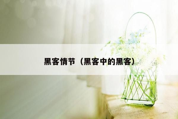 黑客情节（黑客中的黑客）