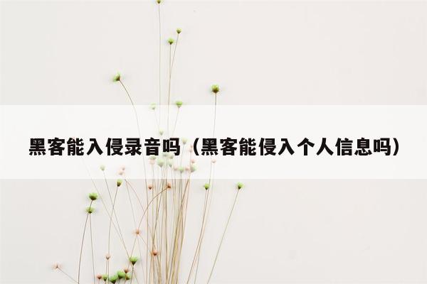 黑客能入侵录音吗（黑客能侵入个人信息吗）