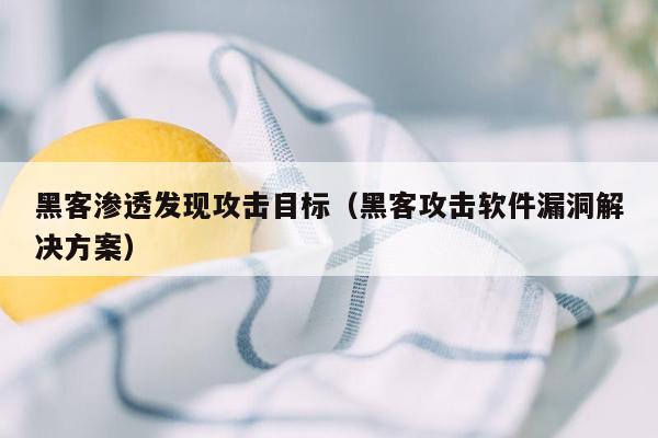 黑客渗透发现攻击目标（黑客攻击软件漏洞解决方案）