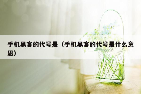 手机黑客的代号是（手机黑客的代号是什么意思）