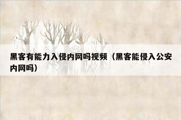 黑客有能力入侵内网吗视频（黑客能侵入公安内网吗）