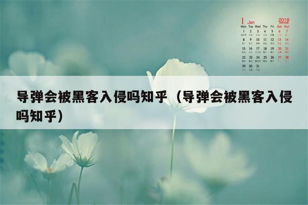 导弹会被黑客入侵吗知乎（导弹会被黑客入侵吗知乎）