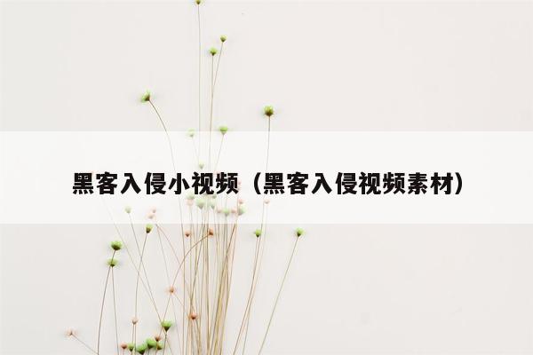 黑客入侵小视频（黑客入侵视频素材）