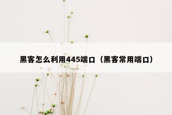 黑客怎么利用445端口（黑客常用端口）