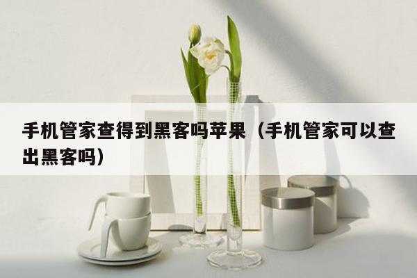 手机管家查得到黑客吗苹果（手机管家可以查出黑客吗）