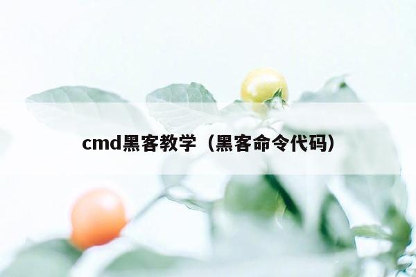 cmd黑客教学（黑客命令代码）