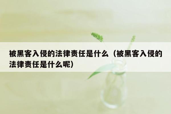 被黑客入侵的法律责任是什么（被黑客入侵的法律责任是什么呢）