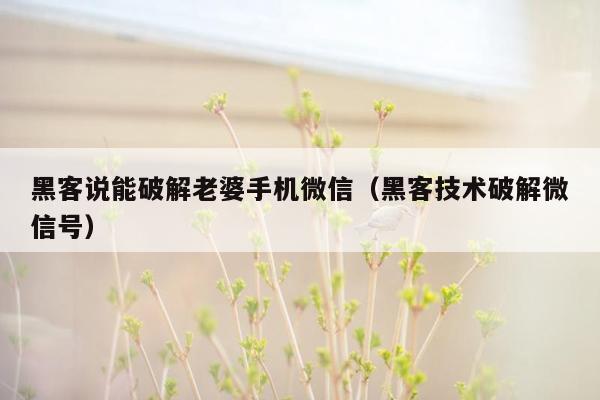 黑客说能破解老婆手机微信（黑客技术破解微信号）