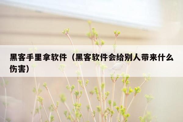 黑客手里拿软件（黑客软件会给别人带来什么伤害）