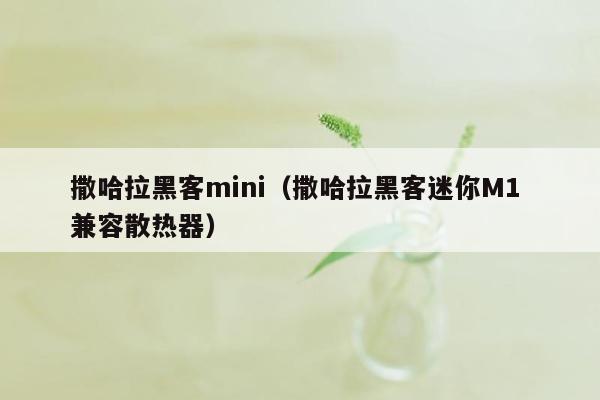 撒哈拉黑客mini（撒哈拉黑客迷你M1 兼容散热器）