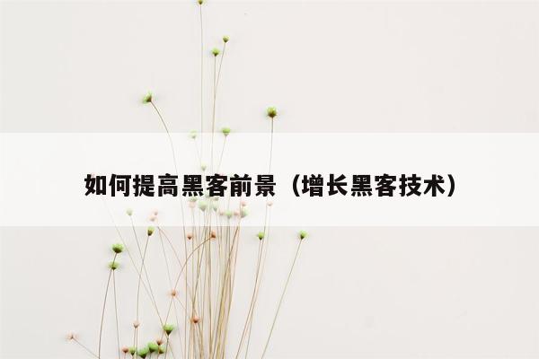 如何提高黑客前景（增长黑客技术）