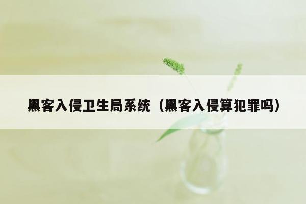 黑客入侵卫生局系统（黑客入侵算犯罪吗）