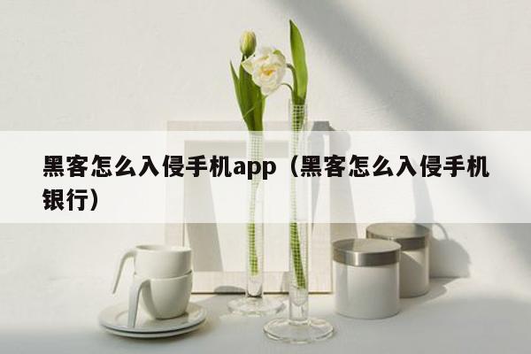 黑客怎么入侵手机app（黑客怎么入侵手机银行）