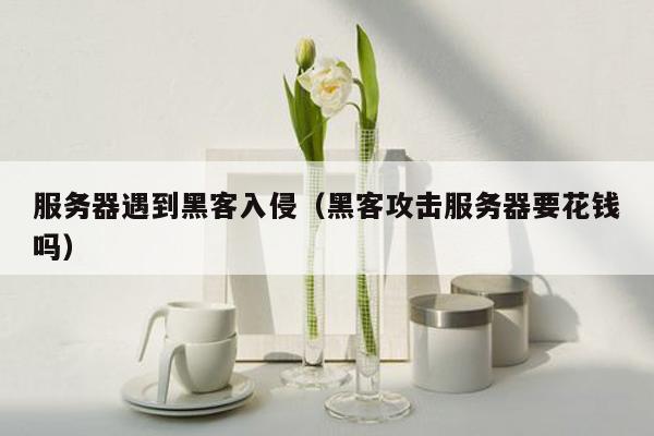 服务器遇到黑客入侵（黑客攻击服务器要花钱吗）