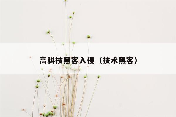 高科技黑客入侵（技术黑客）