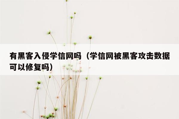 有黑客入侵学信网吗（学信网被黑客攻击数据可以修复吗）