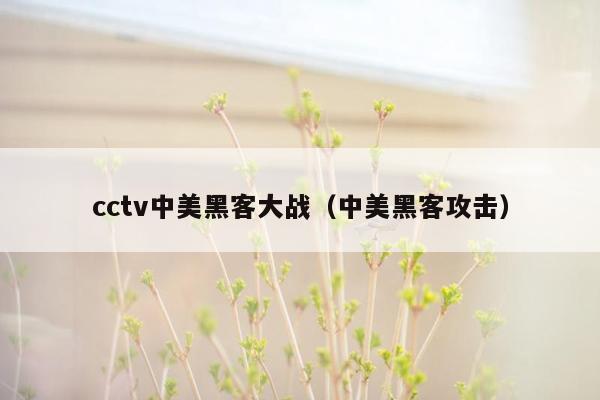 cctv中美黑客大战（中美黑客攻击）